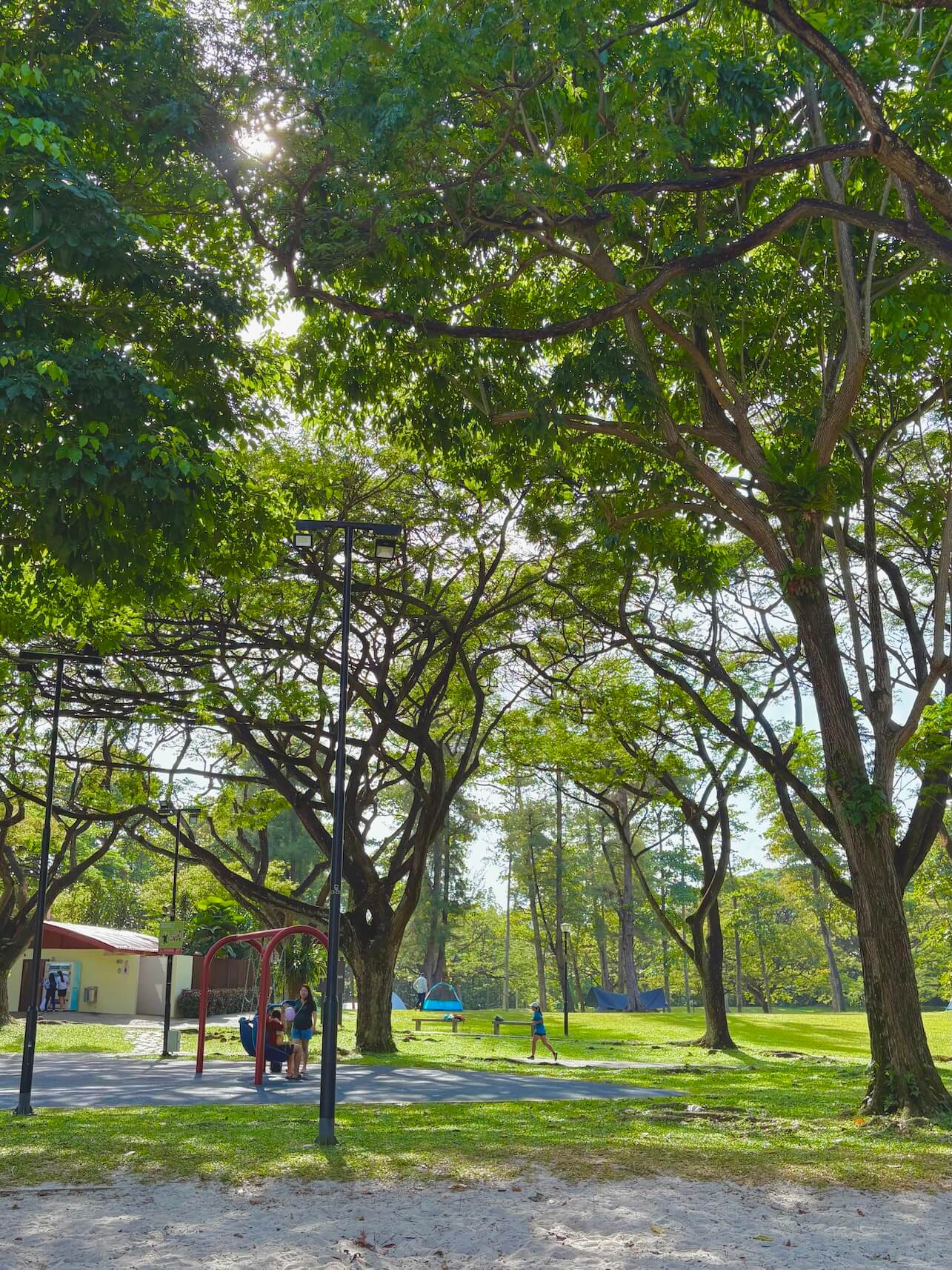 Playground at the park